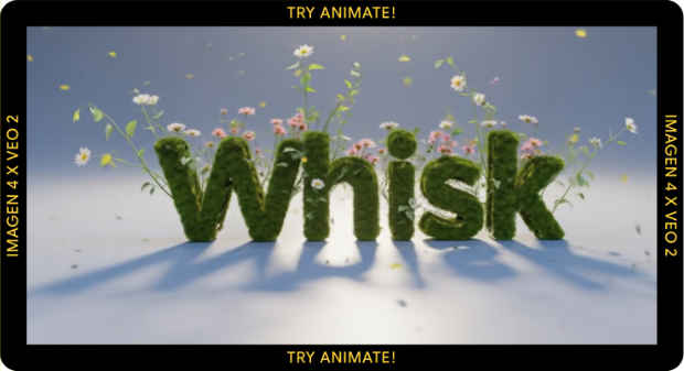WhiskAI 620